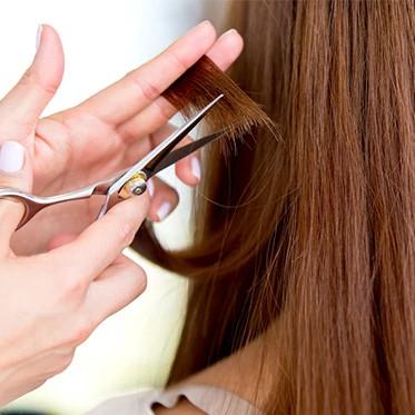 Hair Trim