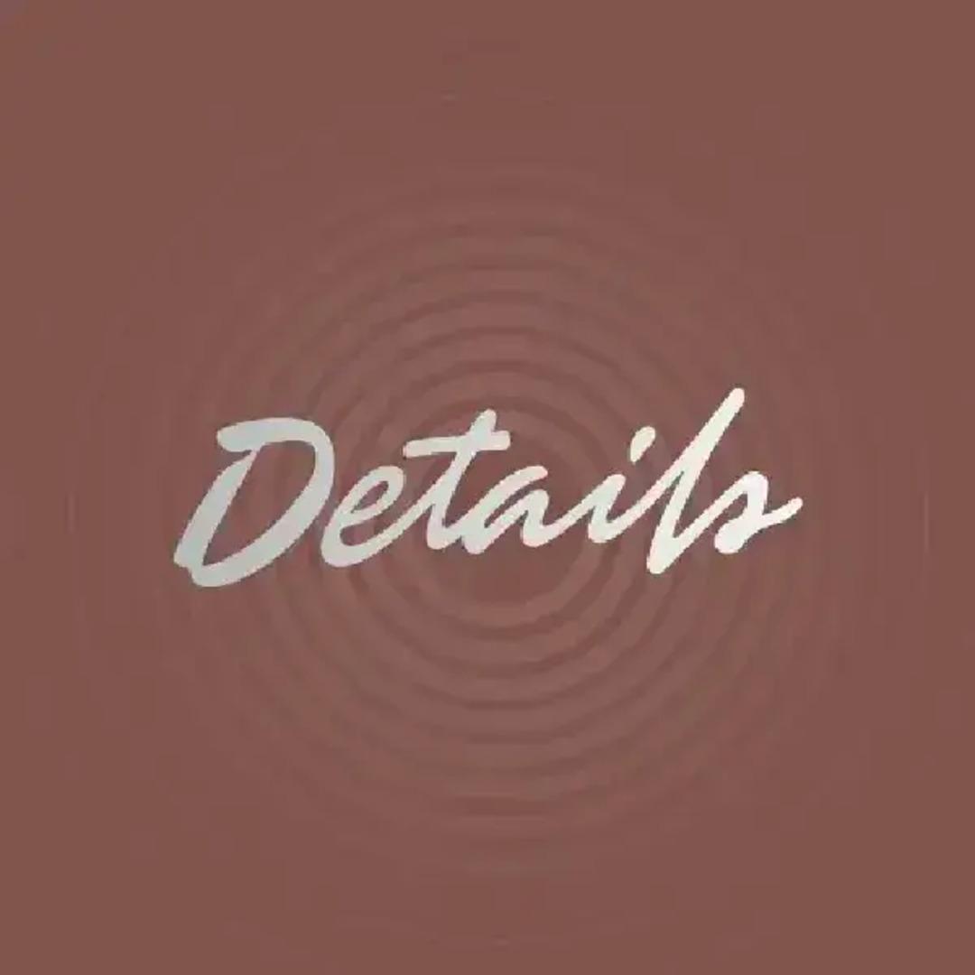 Details Salon logo