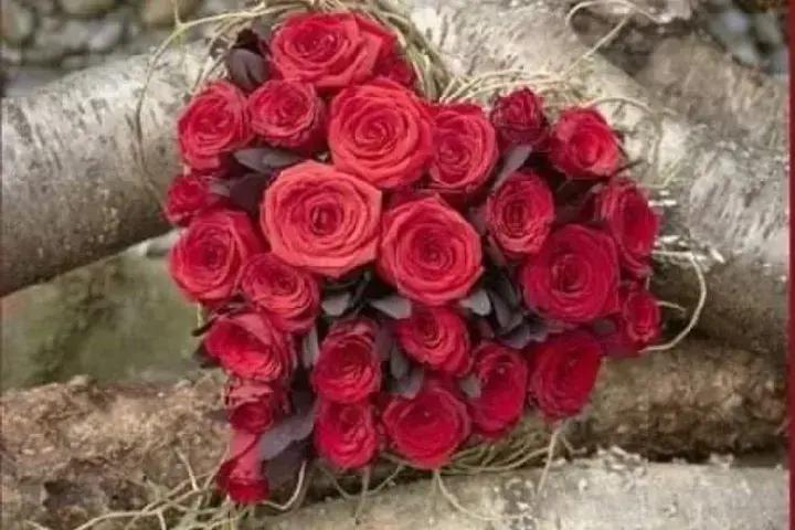 Shahd flowers photo 1